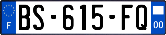 BS-615-FQ