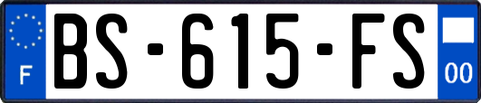 BS-615-FS