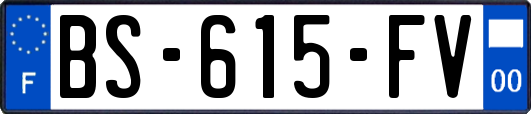 BS-615-FV