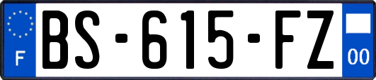 BS-615-FZ