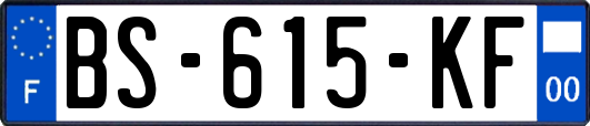 BS-615-KF