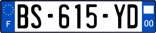 BS-615-YD