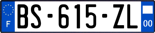 BS-615-ZL