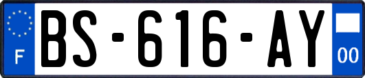 BS-616-AY