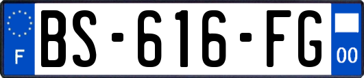 BS-616-FG