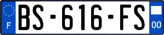 BS-616-FS
