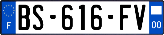 BS-616-FV