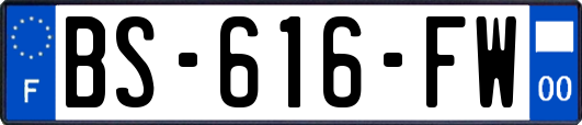 BS-616-FW