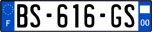 BS-616-GS