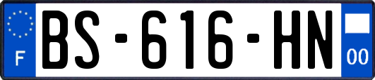 BS-616-HN