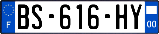 BS-616-HY