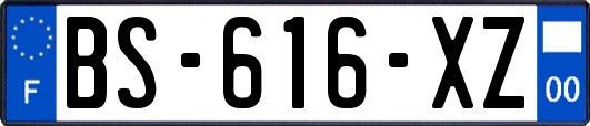 BS-616-XZ
