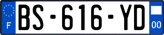 BS-616-YD