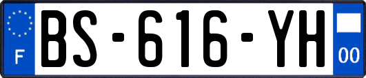 BS-616-YH
