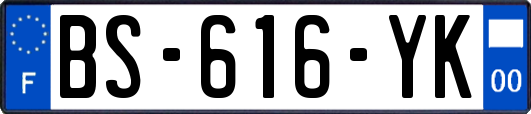 BS-616-YK