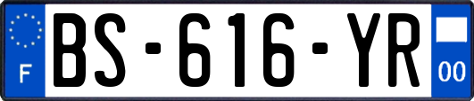 BS-616-YR