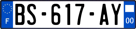 BS-617-AY