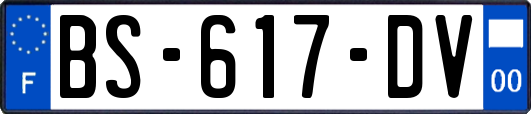 BS-617-DV