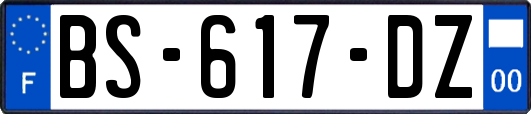 BS-617-DZ