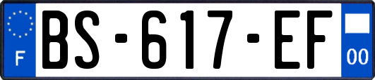 BS-617-EF