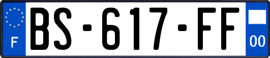 BS-617-FF