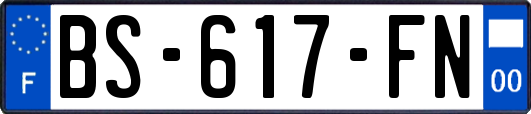 BS-617-FN