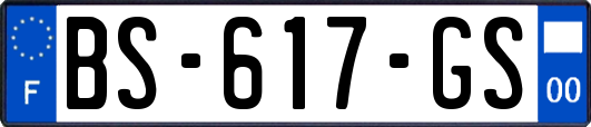 BS-617-GS