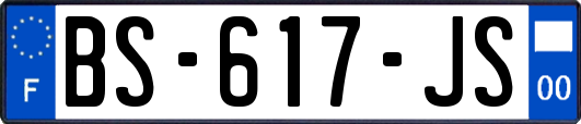 BS-617-JS