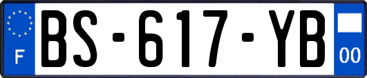BS-617-YB