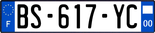 BS-617-YC