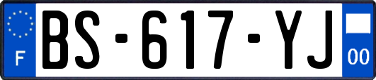 BS-617-YJ