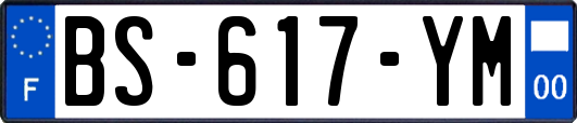 BS-617-YM