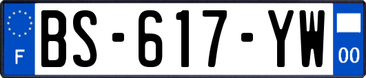 BS-617-YW