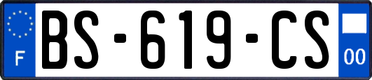 BS-619-CS
