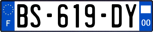 BS-619-DY