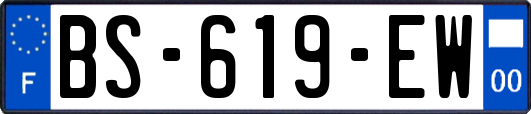 BS-619-EW