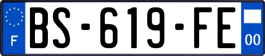 BS-619-FE