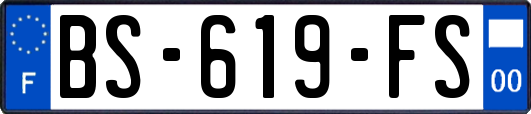 BS-619-FS