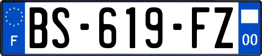 BS-619-FZ