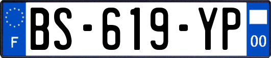 BS-619-YP