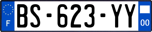 BS-623-YY