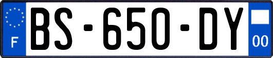 BS-650-DY