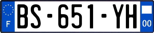 BS-651-YH