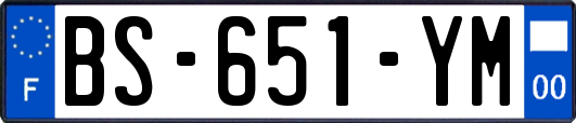 BS-651-YM