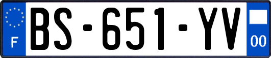 BS-651-YV