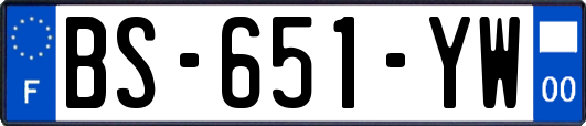 BS-651-YW