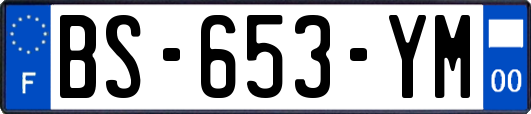 BS-653-YM
