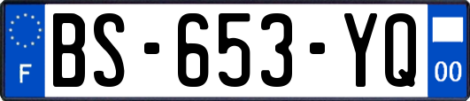 BS-653-YQ