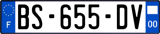 BS-655-DV