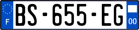 BS-655-EG